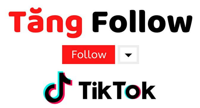 Top 23 cách tăng follow Tik Tok miễn phí hiệu quả nhất 2020 để kiếm tiền online - Hoangngochuan - Blog chia sẻ về kiếm tiền online