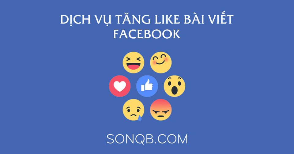 Dich Vu Tang Like Facebook