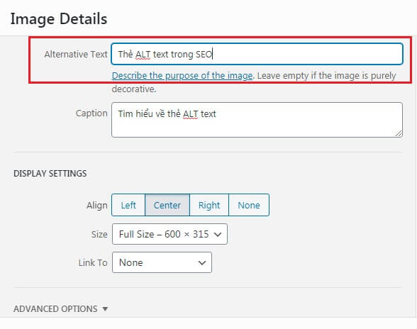 alt-text-1 Hướng dẫn thêm ALT text